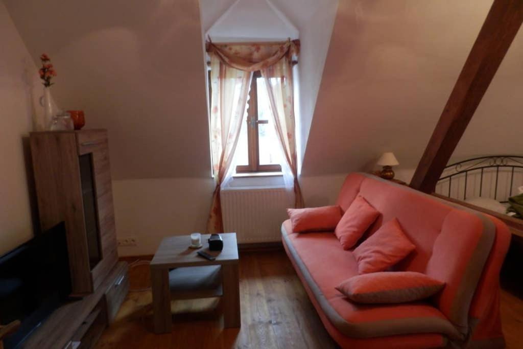 Zamecek Zdiky - Moderni Velky Apartman Bujanov Exterior foto